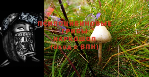амф Строитель