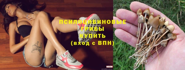 амф Строитель