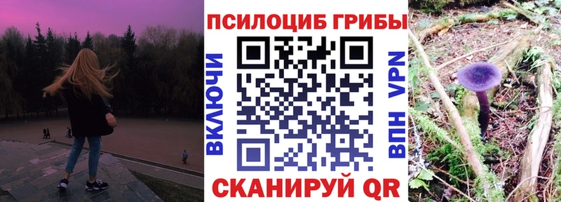 где купить наркоту  Ясногорск  Галлюциногенные грибы Psilocybe 